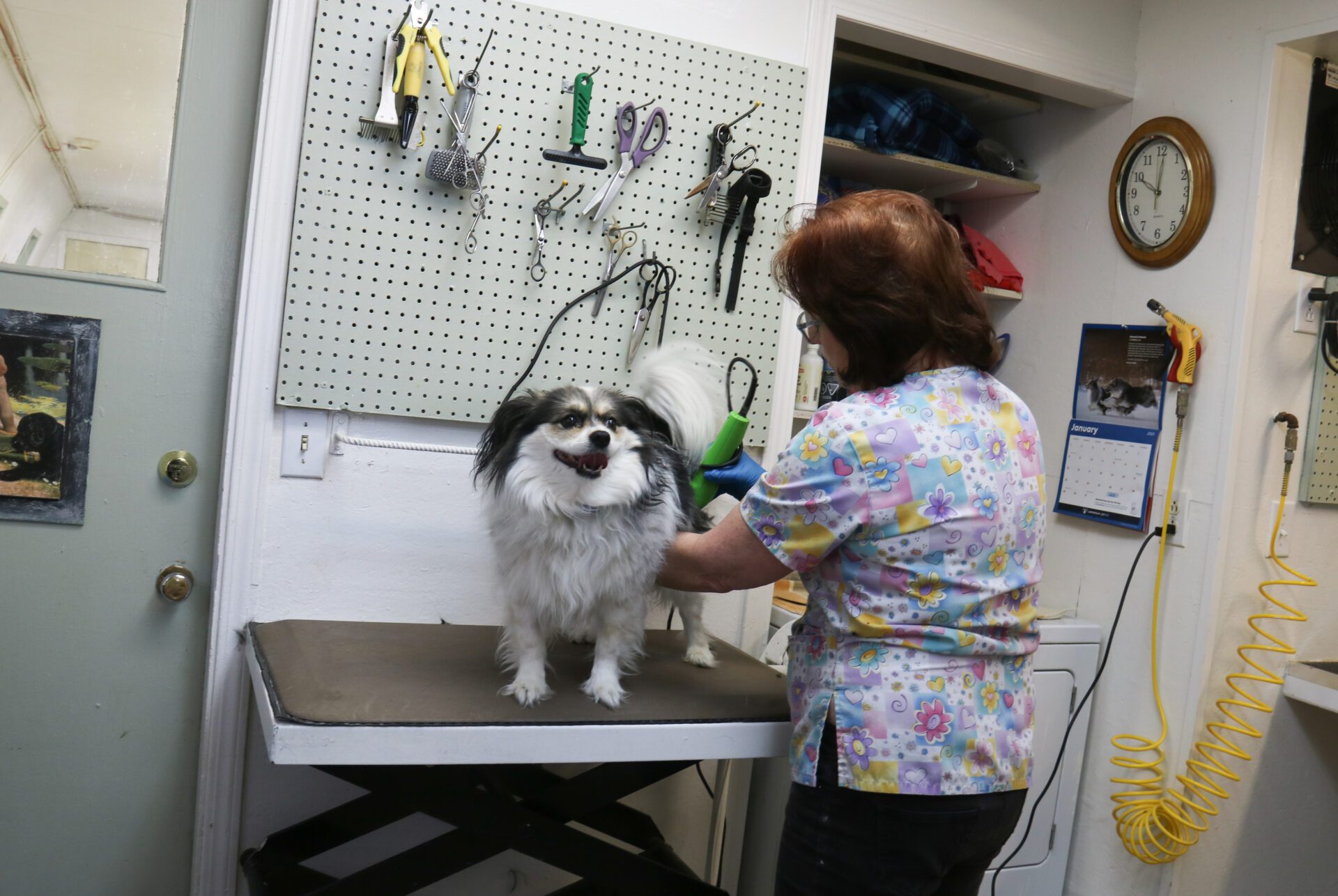 IMG_4234 Grooming-our-services